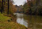 Bear Creek