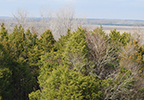 Black Belt Overlook