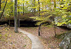 Cave Spring