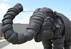 Elephant Discovery Center
