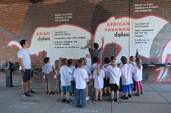 Elephant Discovery Center - Hohenwald, Tennessee