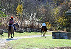 Highland Rim Trail
