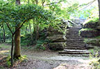 Jacks Branch