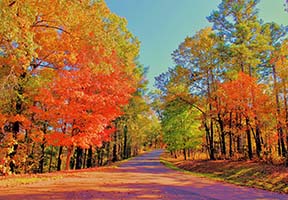 Jeff Busby Park on the Natchez Trace Parkway