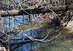Line Creek