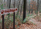 Old Town Overlook