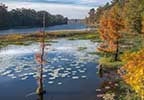 River Bend