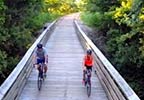 Tanglefoot Trail® - New Albany Trailhead