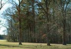 Upper Choctaw Boundary