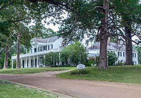 Linden Bed and Breakfast - Natchez, Mississippi