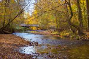 Cypress Creek - Natchez Trace Parkway