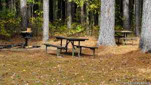 Hernando de Soto - Natchez Trace Parkway