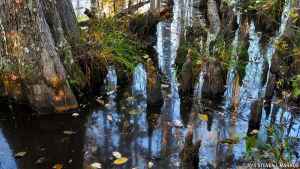 Cole Creek - Natchez Trace Parkway