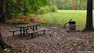 Mud Island Creek - Natchez Trace Parkway