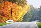 Fall Foliage Kosciusko  Mississippi