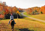 Fall Foliage Leiper's Fork Fly Tennessee