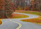 Fall Foliage Nashville Franklin Tennessee