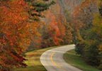 Fall Foliage Tishomingo - Belmont Mississippi