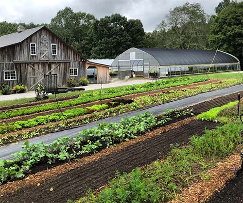 Red Thread Farm - Leiper's Fork, Tennessee