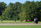 Natchez Trace Parkway Scenery