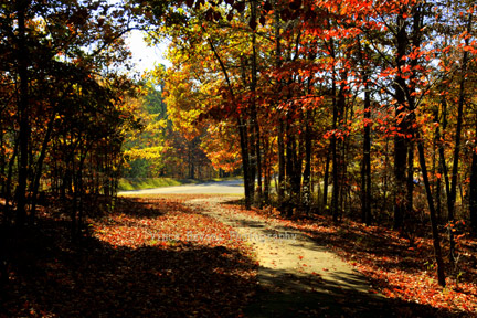 Freedom Hills Overlook - Natchez Trace Fall Foliage