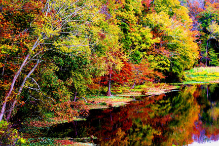 River Bend - Natchez Trace Fall Foliage