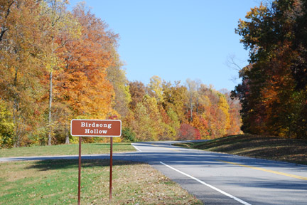 Birdsong Hollow - Natchez Trace Fall Foliage