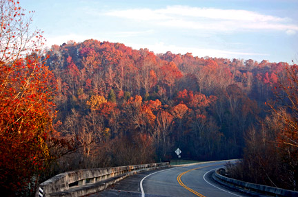 Little Swan Creek - Natchez Trace Fall Foliage