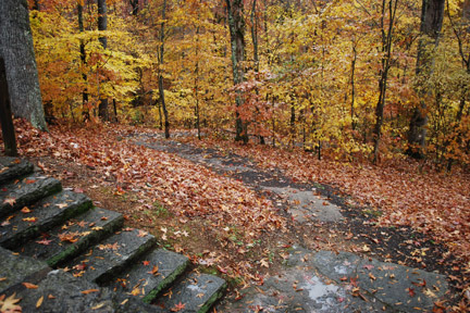 Sweetwater Branch - Natchez Trace Fall Foliage