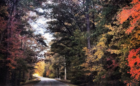 Milepost 338 - Natchez Trace Fall Foliage