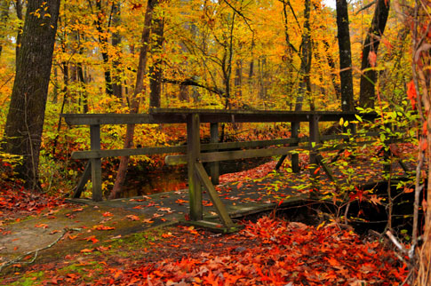 Myrick Creek - Natchez Trace Fall Foliage
