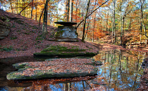 Glenrock Branch - Natchez Trace Fall Foliage