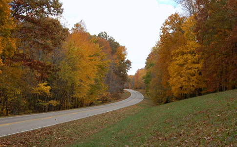 Milepost 398 - Natchez Trace Fall Foliage