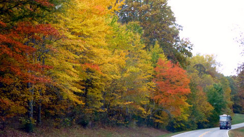 Milepost 439 / Birdsong Hollow - Natchez Trace Fall Foliage