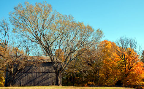 Tobacco Farm - Natchez Trace Fall Foliage