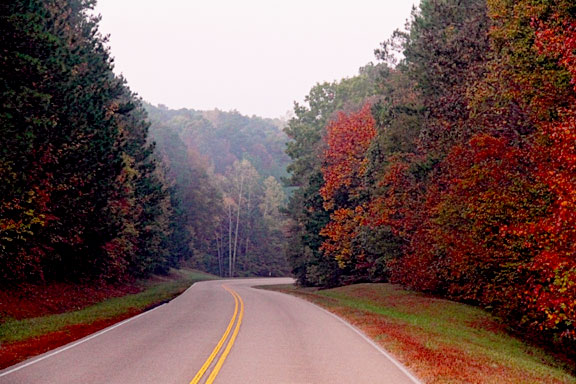 Milepost 289 - Mississippi Fall Foliage