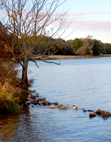 Reservoir Overlook - Mississippi Fall Foliage