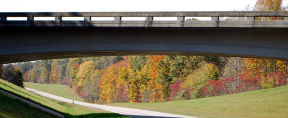 Milepost 419 - Tennessee Fall Foliage