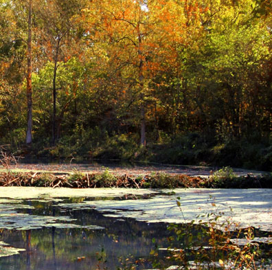 Rock Spring