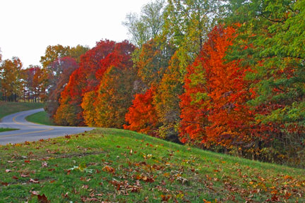 Milepost 440