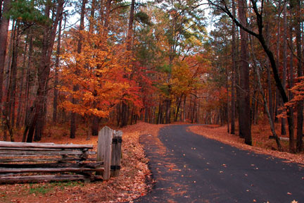 Jeff Busby Park