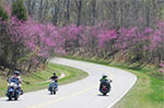 Scenery is awesome on the Natchez Trace Parkway.