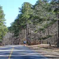 Mississippi - Cyclist near Jeff Busby Park.