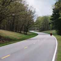 Tennessee - Milepost 369 in early April.