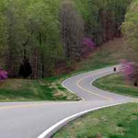 Tennessee - Redbuds starting to bloom near milepost 430.