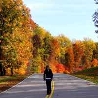 Natchez Trace Parkway: Nashville - Franklin | Fall foliage near milepost 435.