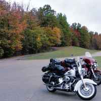 Alabama - Fall foliage at the Freedom Hills parking area.