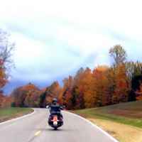 Tennessee - Fall foliage near Water Valley Overlook and milepost 413.