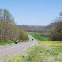 Tennessee - Spring flowers just north of Baker Bluff Overlook.