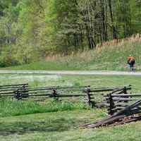 Cyclist passing by Burns Branch.
